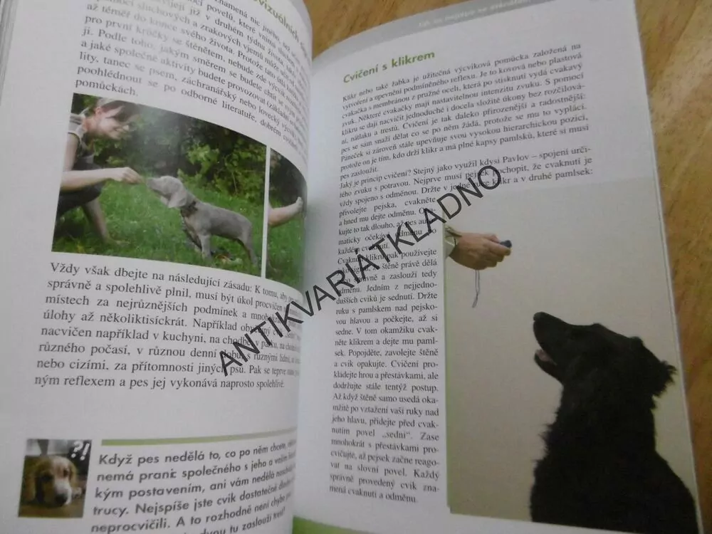 OD ŠTĚNĚTE KE PSU, JAK VYCHOVAT BEZPROBLÉMOVÉHO PSA, HANA ŽERTOVÁ, **an