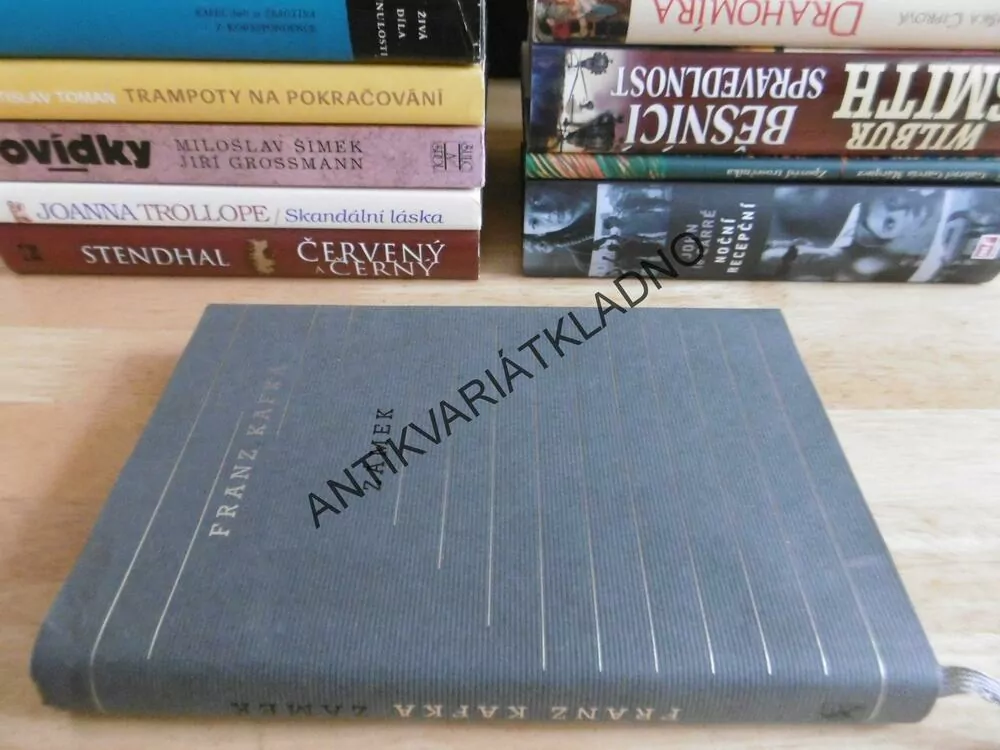 ZÁMEK, FRANZ KAFKA, **an