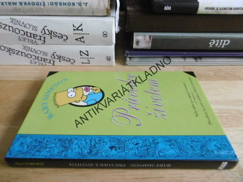 PRŮVODCE ŽIVOTEM, SIMPSONOVI, BART SIMPSON, **an