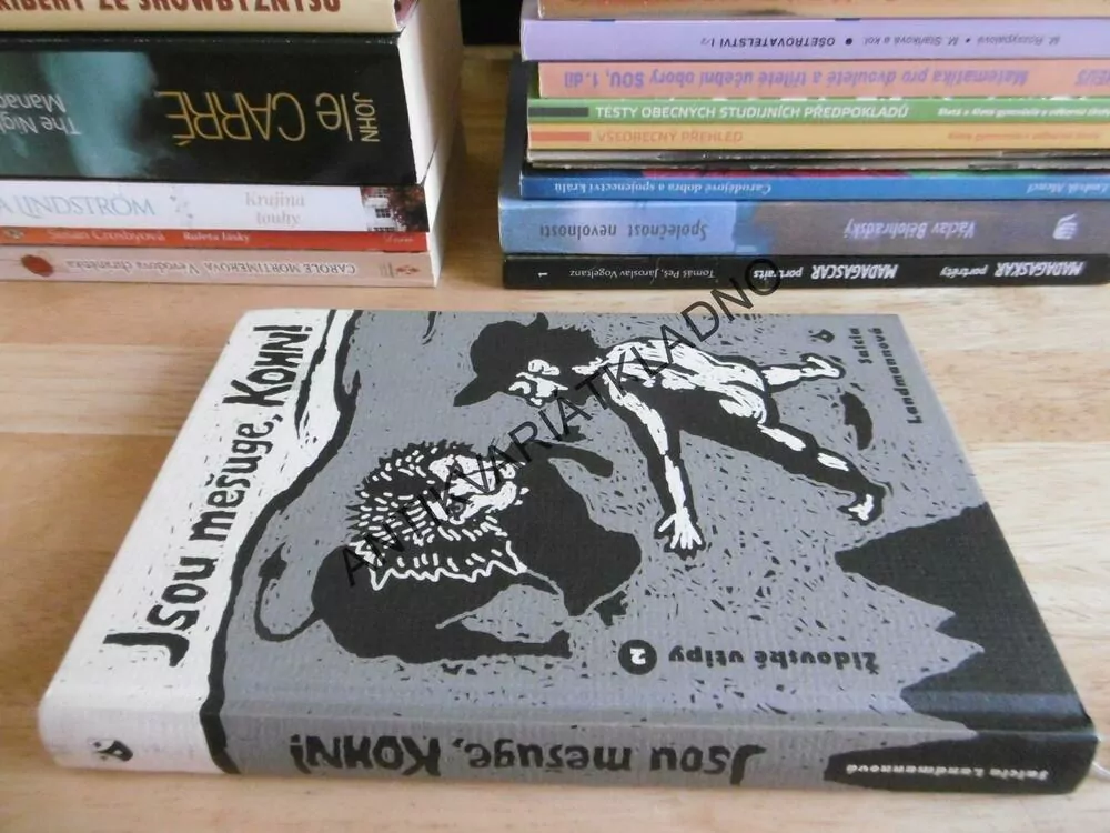 JSOU MEŠUGE, KOHN! ŽIDOVSKÉ VTIPY,2., SALCIA LANDMANNOVÁ, **an