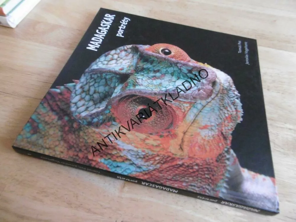 MADAGASKAR, PORTRÉTY, TOMÁŠ PEŠ, JAROSLAV VOGELTANZ, **an