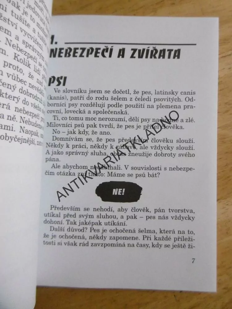 POZOR NEBEZPEČÍ, ANTONÍN RÝGL, **an