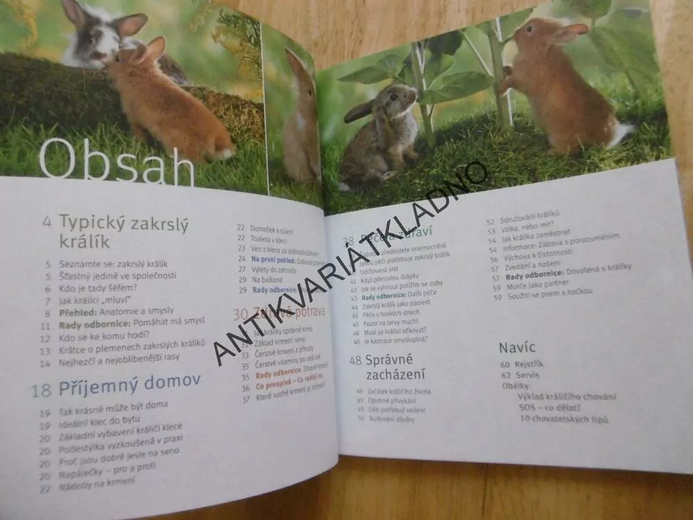 ZAKRSLÝ KRÁLÍK, JAK NA TO, ŠŤASTNĚ PROHOPKANÝ ŽIVOT, MONIKA WEGLER, **an