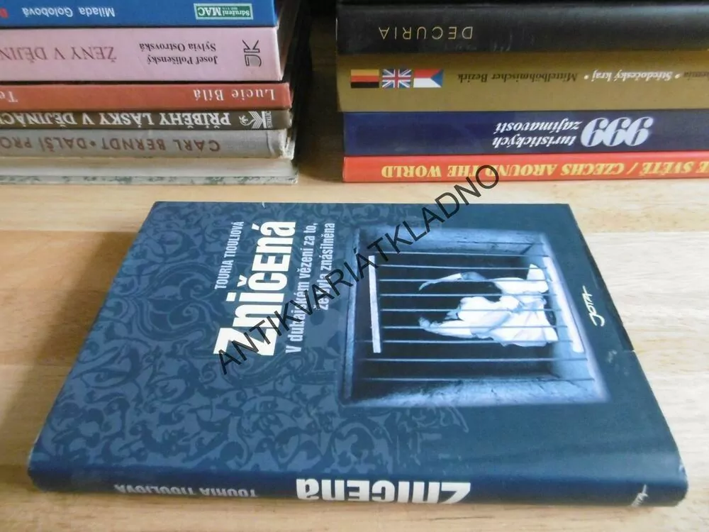 ZNIČENÁ, TOURIA TIOULIOVÁ, V DUBAJSKÉM BVĚZENÍ ZA TO, ŽE BYLA ZNÁSILNĚNA, **an