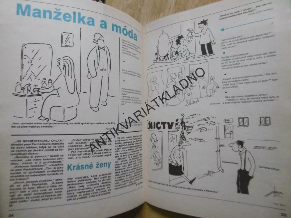 MAGAZÍN DIKOBRAZU 1/93