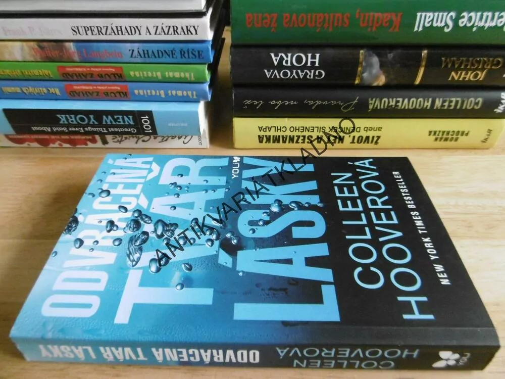 ODVRÁCENÁ TVÁŘ LÁSKY, COLLEEN HOOVEROVÁ, **an