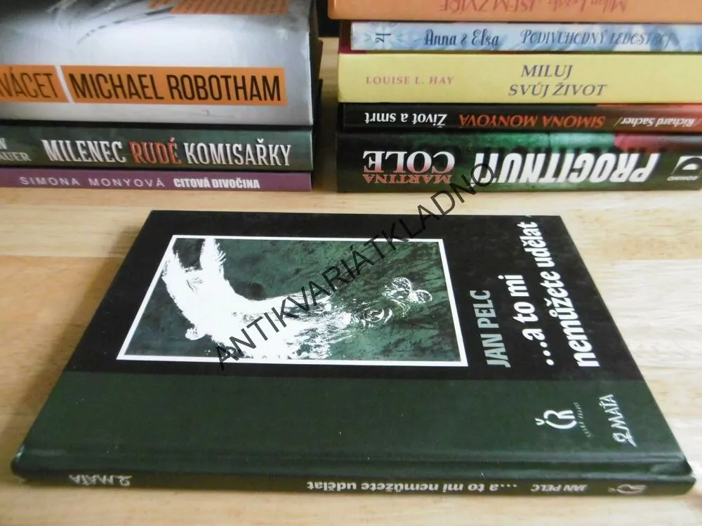 STINNÁ MÍSTA, DANIEL BARTÁK, **an