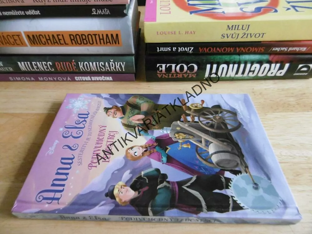 ANNA A ELSA, PODIVUHODNÝ LEDOSTROJ, LEDOVÉ KRÁLOSTVÍ, **an