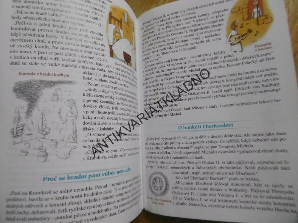 DOBA KRÁLE PŘEMYSLA OTAKARA II., 13.STOLETÍ, DĚJINY TROCHU JINAK