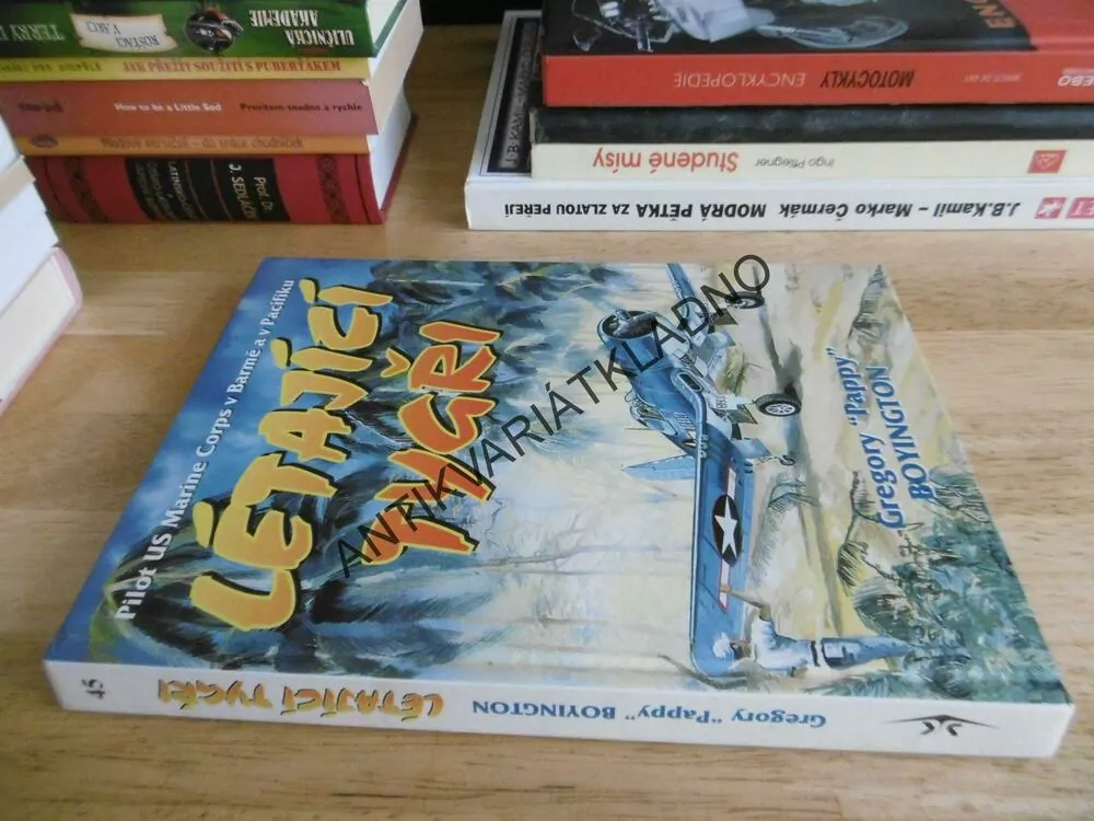 LÉTAJÍCÍ TYGŘI, GREGORY PAPPY BOYINGTON, **an