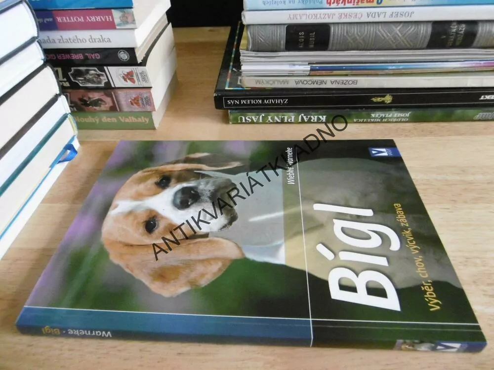 BÍGL, WIEBKE WARNEKE, **an
