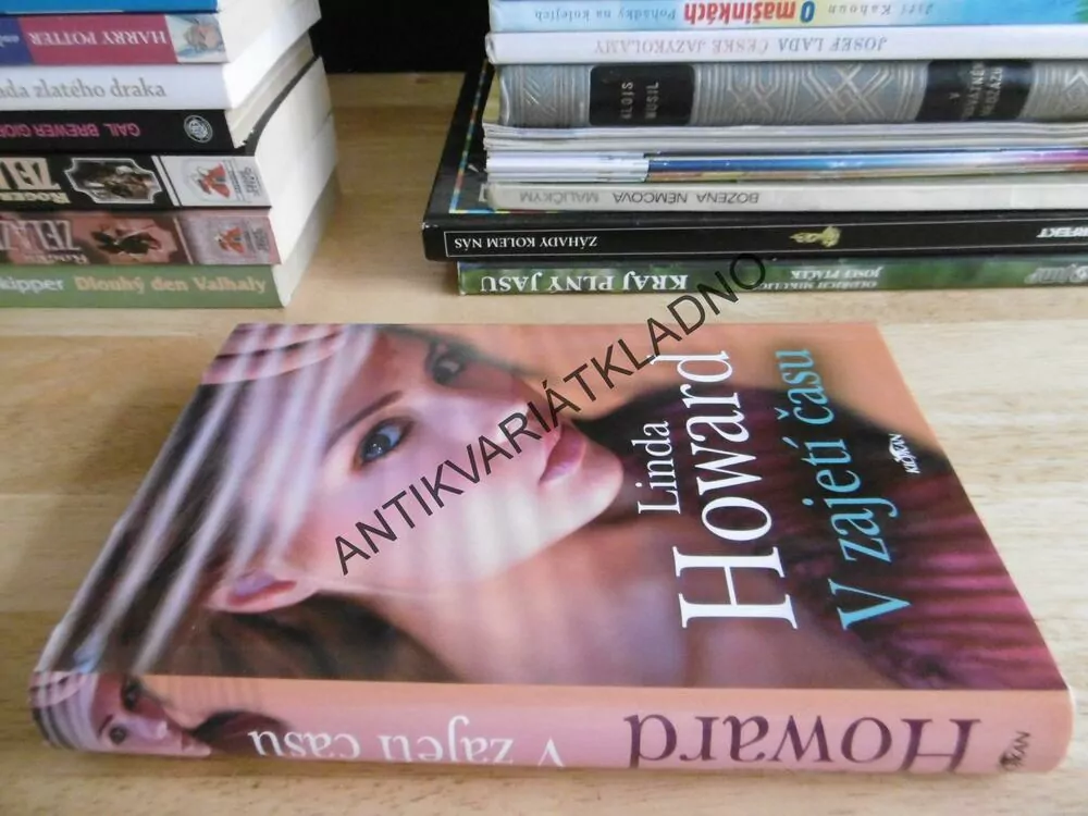 V ZAJETÍ ČASU, LINDA HOWARD, **an
