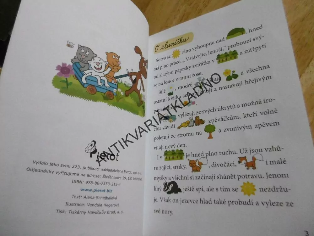OBRÁZKOVÉ ČTENÍ, O PROBUZENÍ NA DVORKU