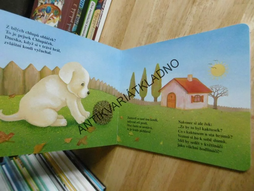 CHLUPÁČEK A JEŽEK, KRISTA BENDOVÁ