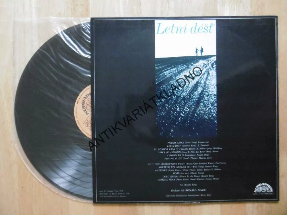 LETNÍ DÉŠŤ, RONALD BINGE, LP
