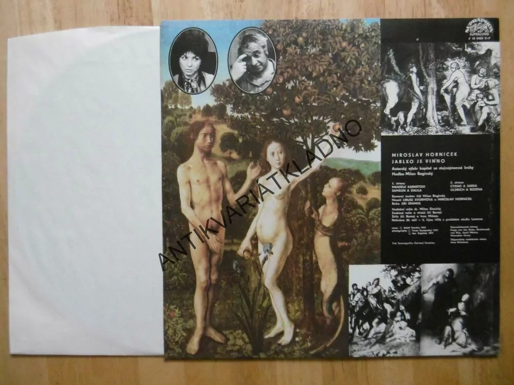 JABLKO JE VINNO, MIROSLAV HORNÍČEK, LP