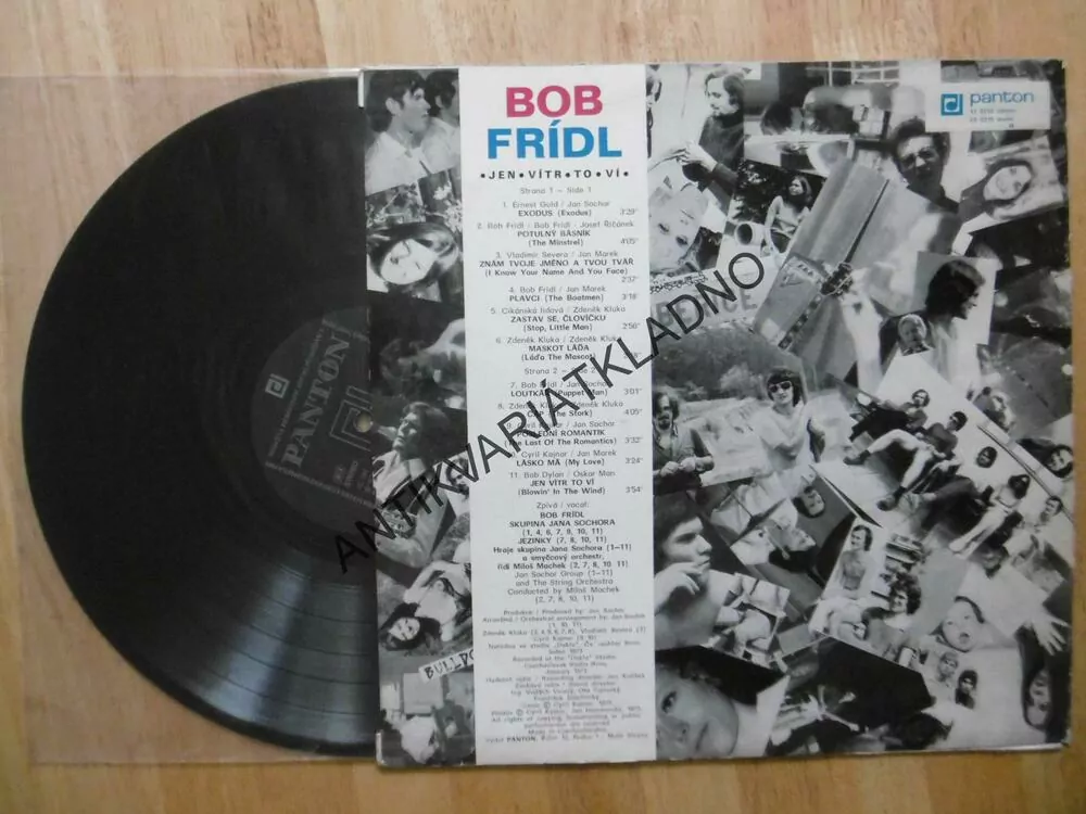 BOB FRÍDL, JEN VÍTR TO VÍ, LP