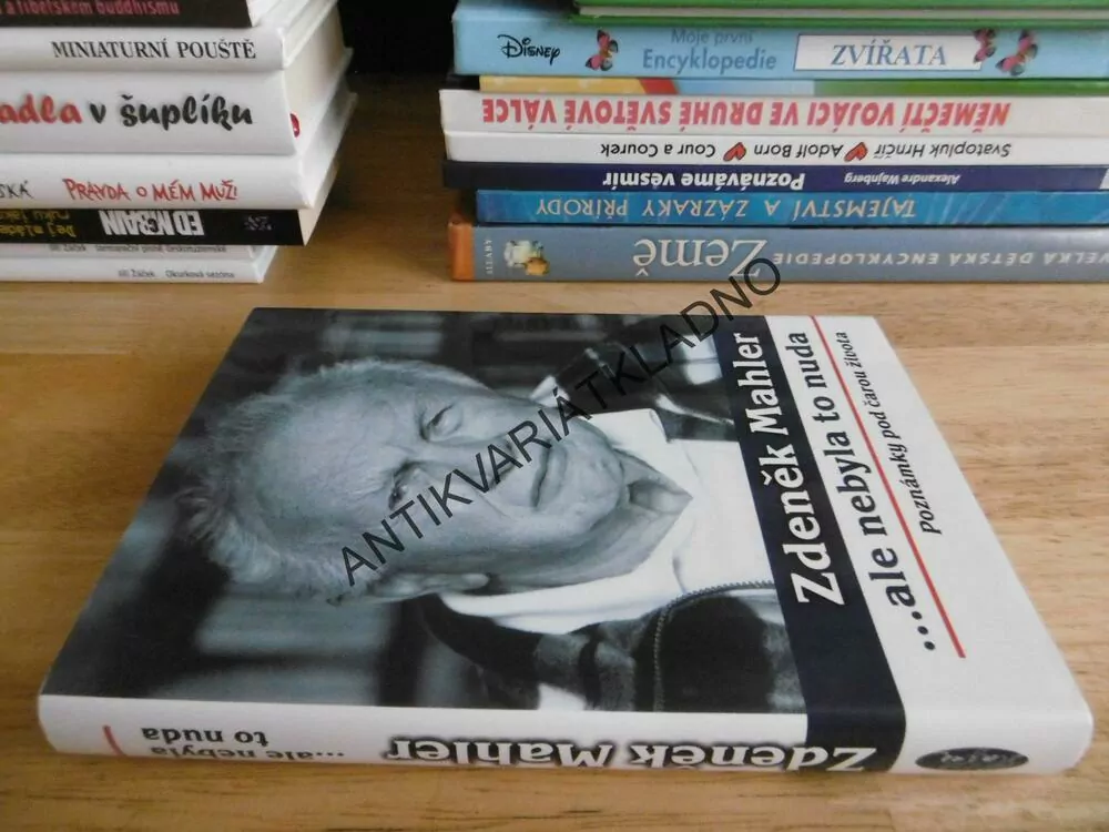 ...ALE NEBYLA TO NUDA, ZDENĚK MAHLER, POZNÁMKY POD ČAROU, **an