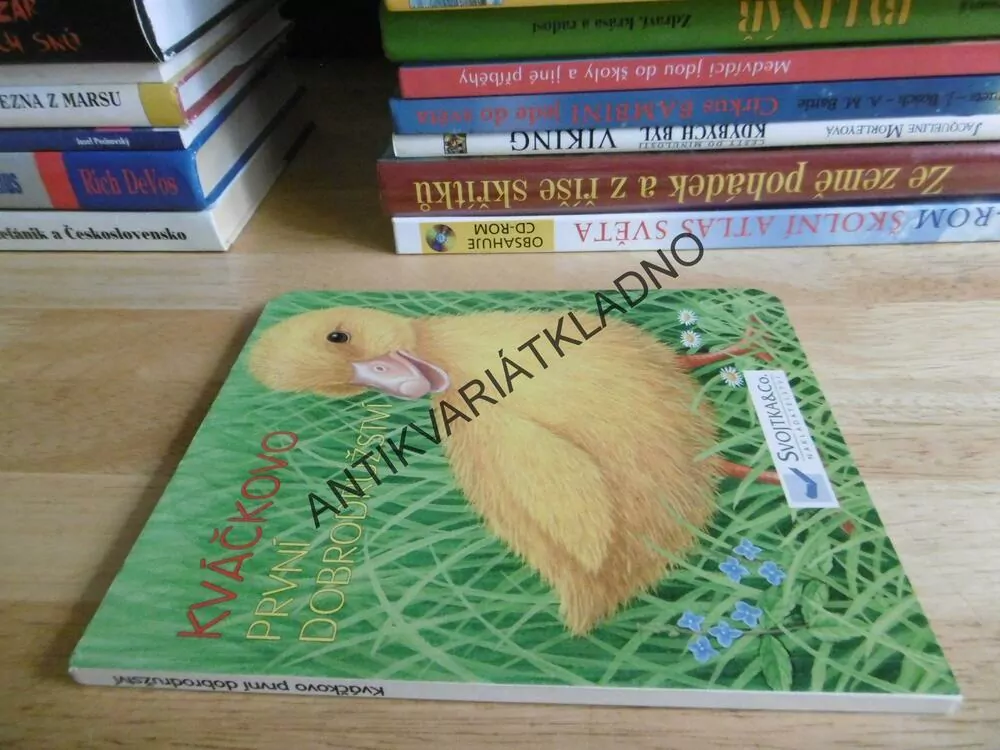 KVÁČKOVO PRVNÍ DOBRODRUŽSTVÍ, **an