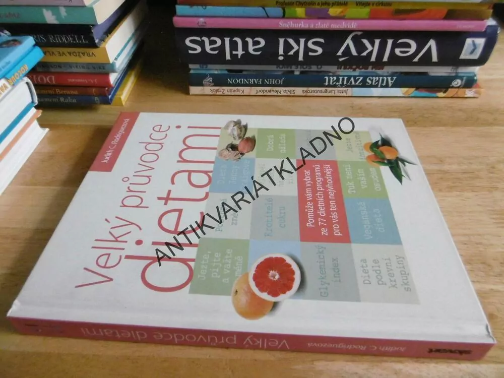 VELKÝ PRŮVODCE DIETAMI,JUDITH C. RODRIGUEZOVÁ, **an