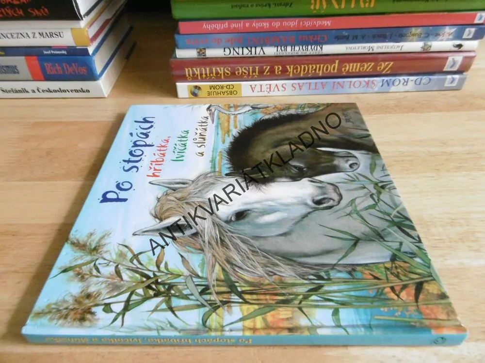 PO STOPÁCH, HŘÍBÁTKA, LVÍČÁTKA A SLŮŇÁTKA, **AN