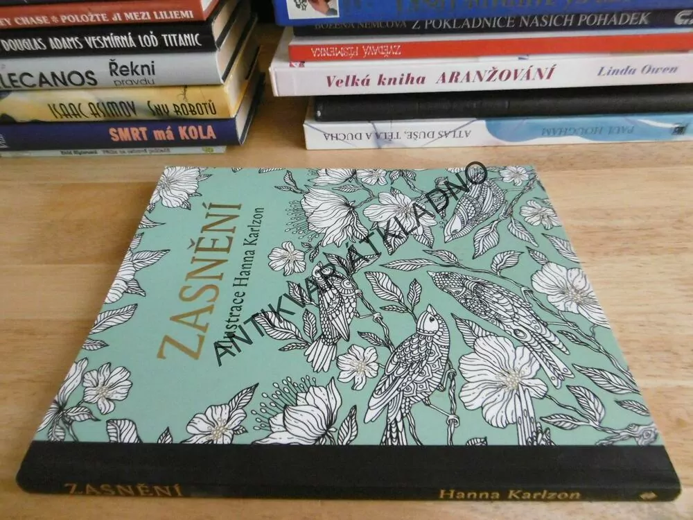 ZASNĚNÍ, HANA KARLZON,, OMALOVÁNKY PRO DOSPĚLÉ, **an