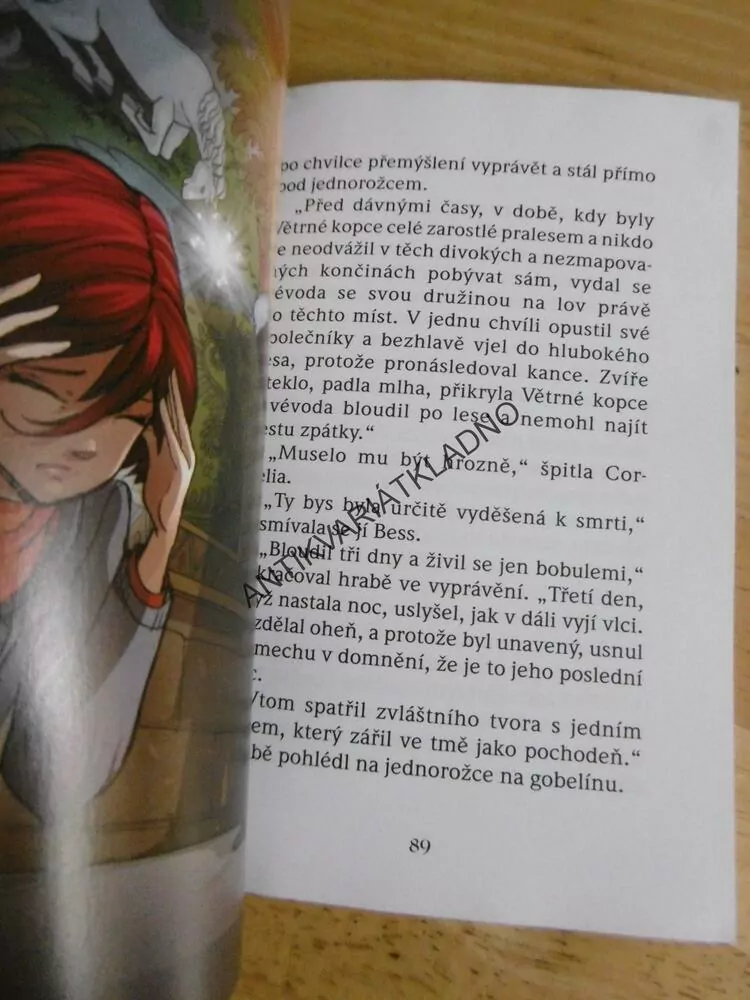 WITCH, EXPEDICE, HRAD JEDNOROŽCE, CARVANI