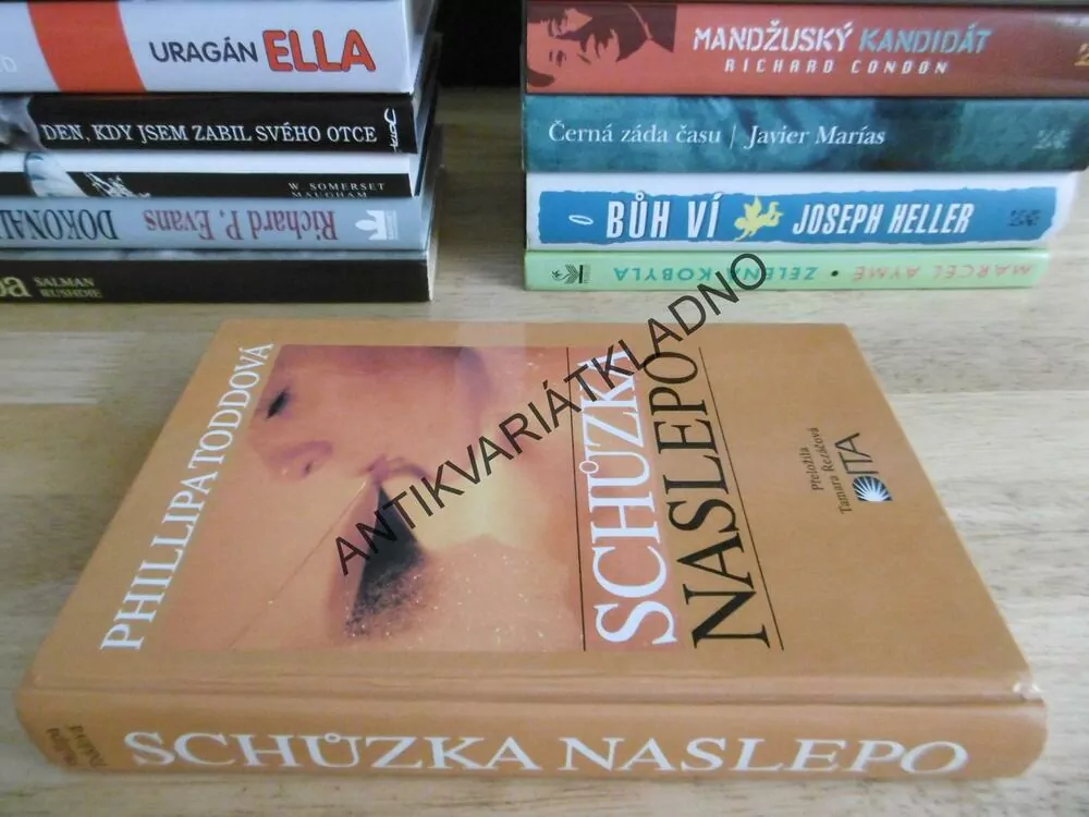 SCHŮZKA NASLEPO, PHILLIPA TODDOVÁ, **an