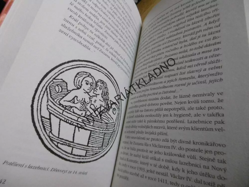 CO V UČEBNICÍCH DĚJEPISU NEBYLO, 4., JAN BAUER, **an