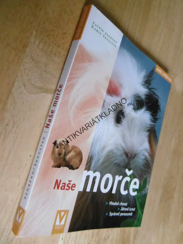 NAŠE MORČE, NAŠE ZVÍŘÁTKO, CHOV, KRMENÍ, VÝCHOVA