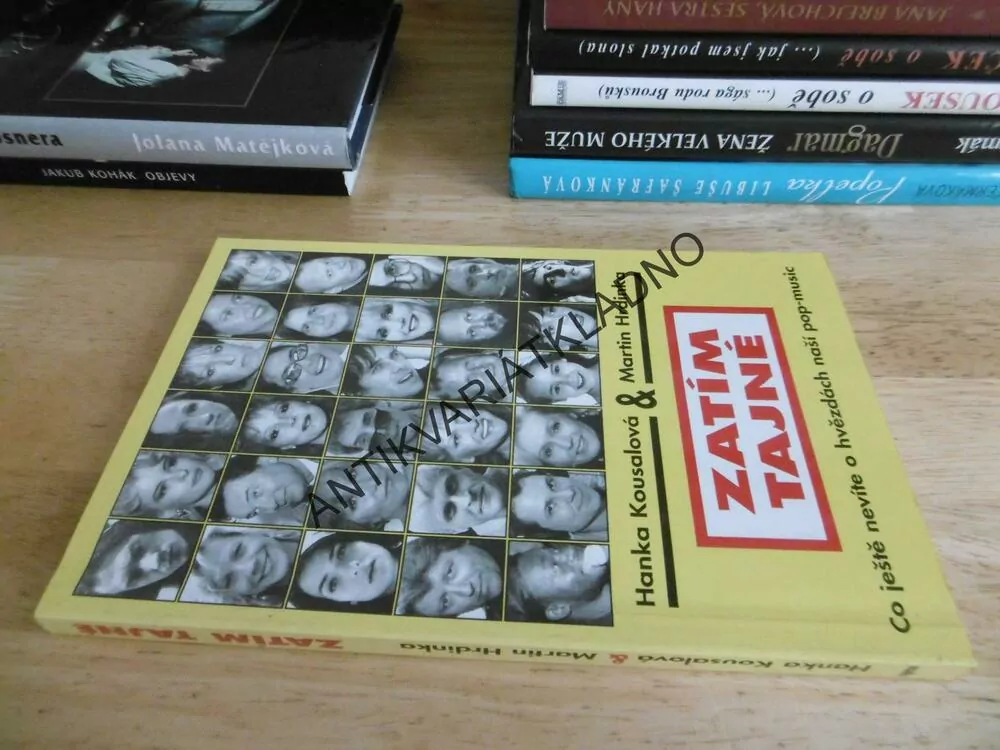 ZATÍM TAJNÉ,HANKA KOUSALOVÁ, MARTIN HRDINKA, **an