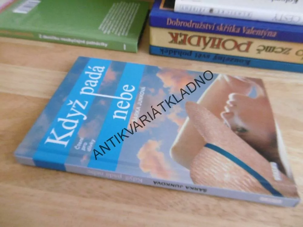 KDYŽ PADÁ NEBE, ŠÁRKA JUNKOVÁ, **an