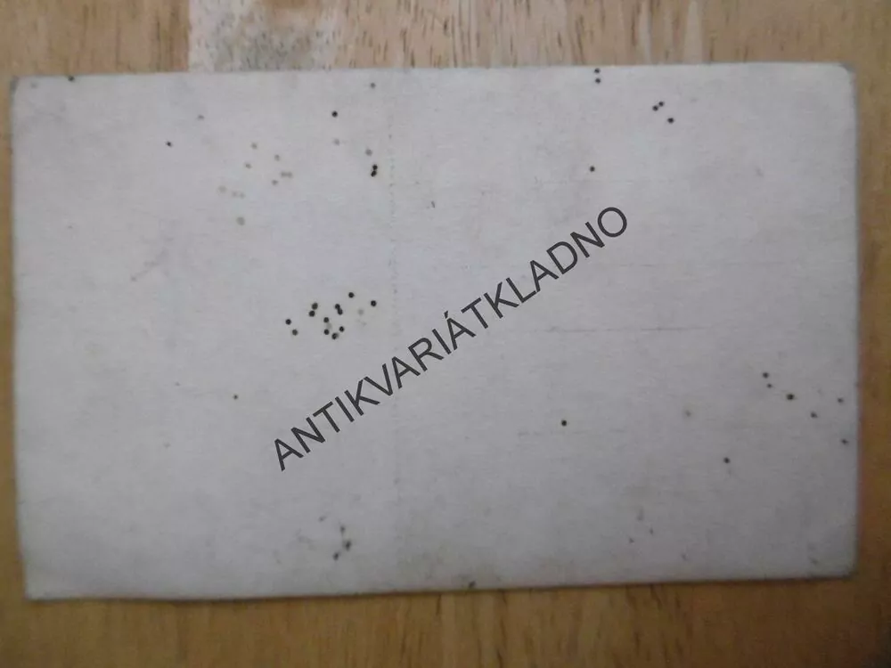 KAPELA, HUDBA, HUDEBNÍ NÁSTROJE, SVATBA, SVATEBNÍ SLAVNOST
