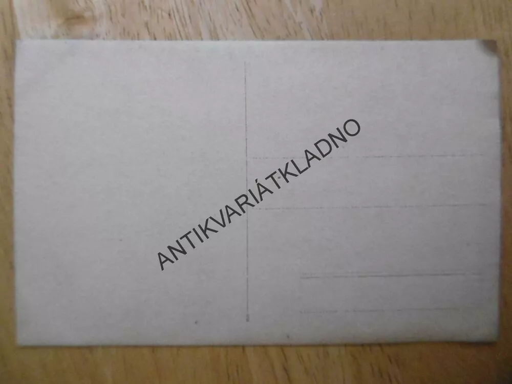 ŽENA, DÁMA, PORTRÉT