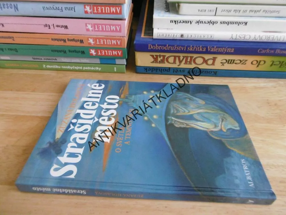 STRAŠIDELNÉ MĚSTO, ZUZANA HOLASOVÁ, **an