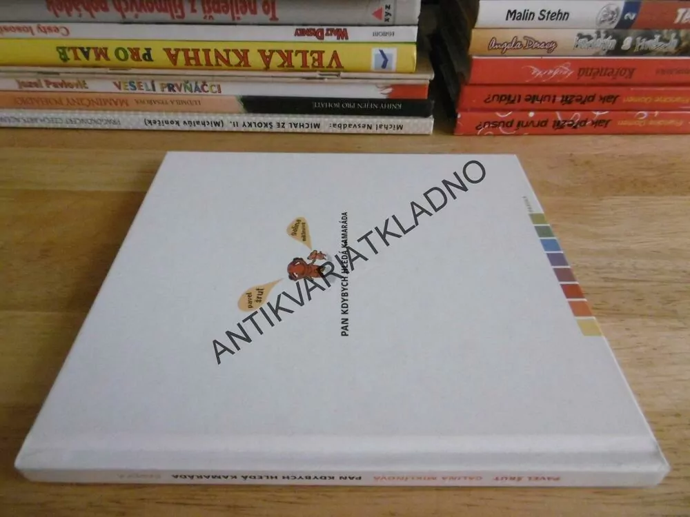 PAN KDYBYCH HLEDÁ KAMARÁDA, PAVEL ŠRUT, GALINA MIKLÍNOVÁ, **an