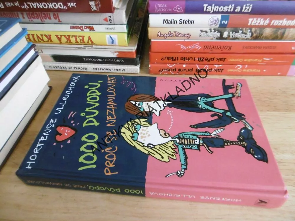 1000 DŮVODŮ PROČ SE NEZAMILOVAT, HORTENSE ULLRICHOVÁ, **an