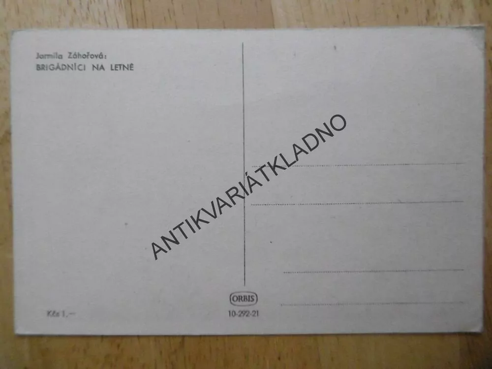 JARMILA ZÁHOŘOVÁ, BRIGÁDNÍCI NA LETNÉ, ŽENY, MUŽI, POLE