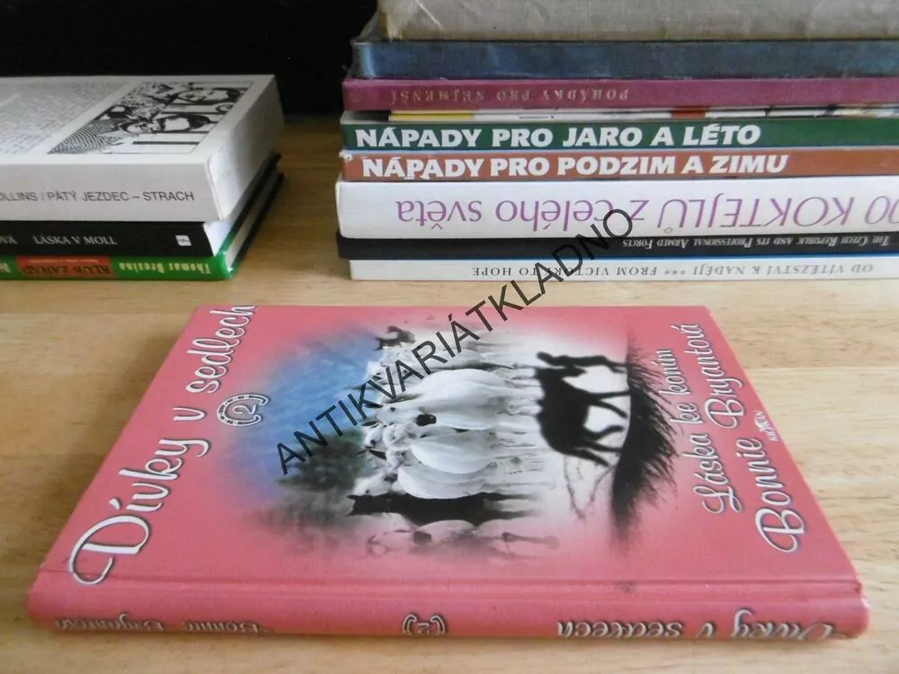DÍVKY V SEDLECH 2., LÁSKA KE KONÍM, BONNIE BRYANTOVÁ, **an