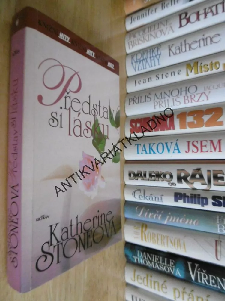 PŘEDSTAV SI LÁSKU, KATHERINE STONEOVÁ, **an