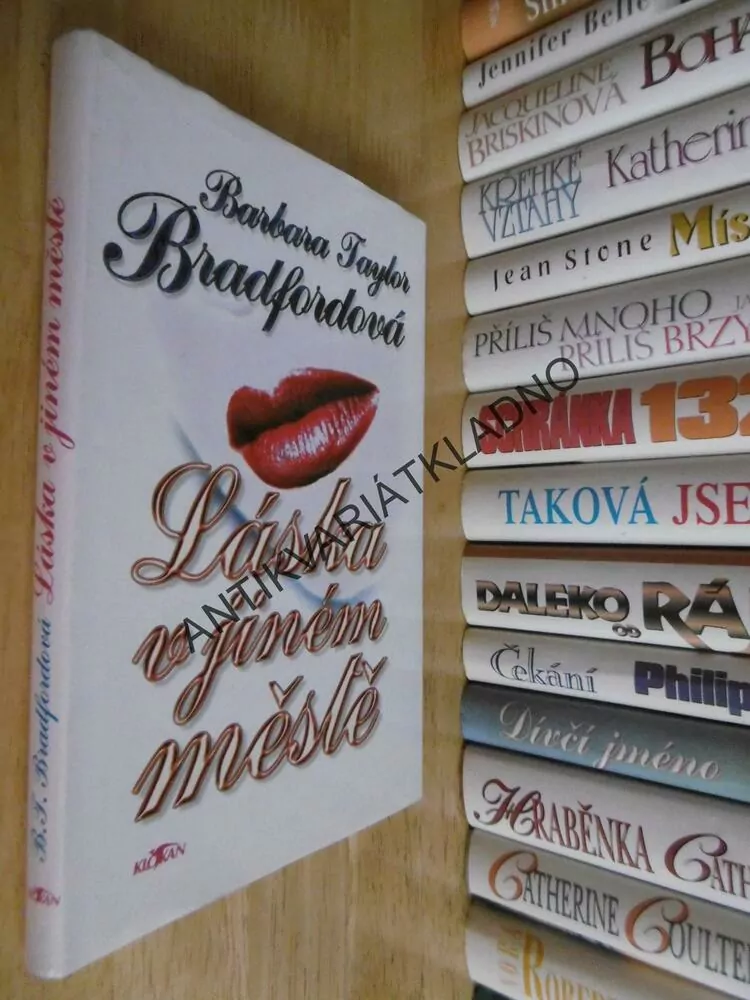 LÁSKA V JINÉM MĚSTĚ, BARBARA TAYLOR BRADFORDOVÁ, **an