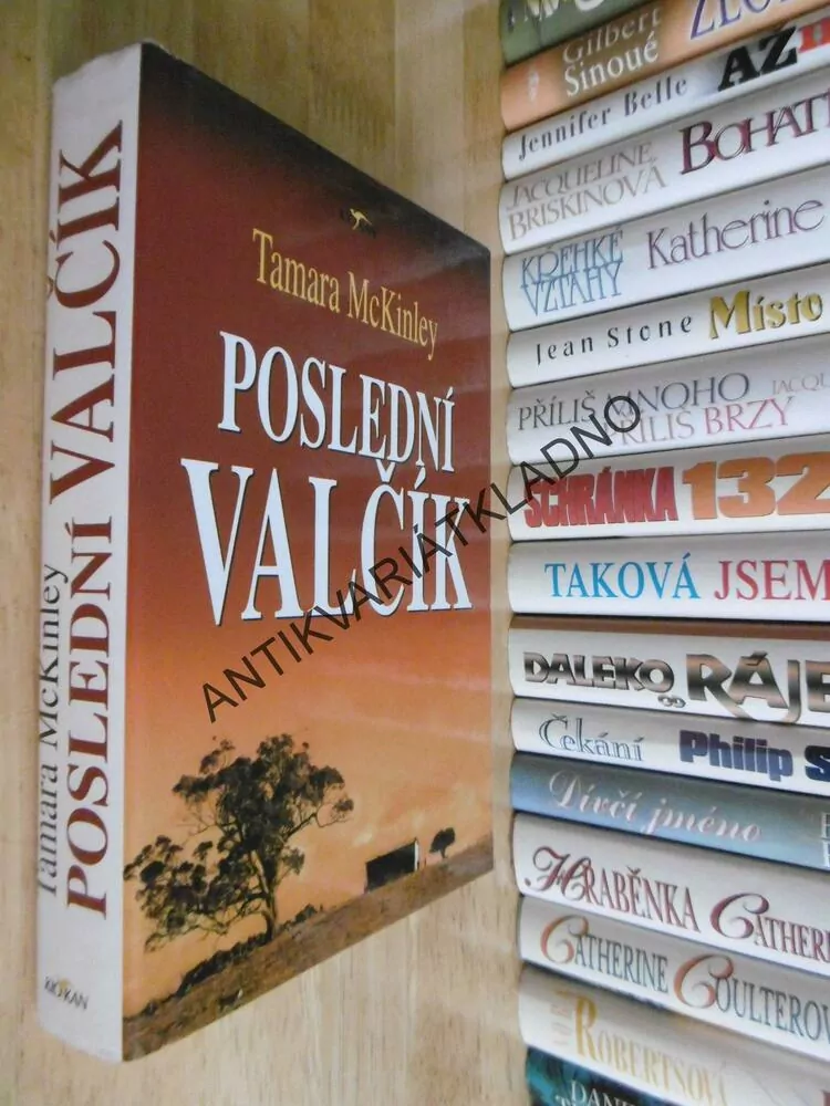 POSLEDNÍ VALČÍK, TAMARA MCKINLEY, **an