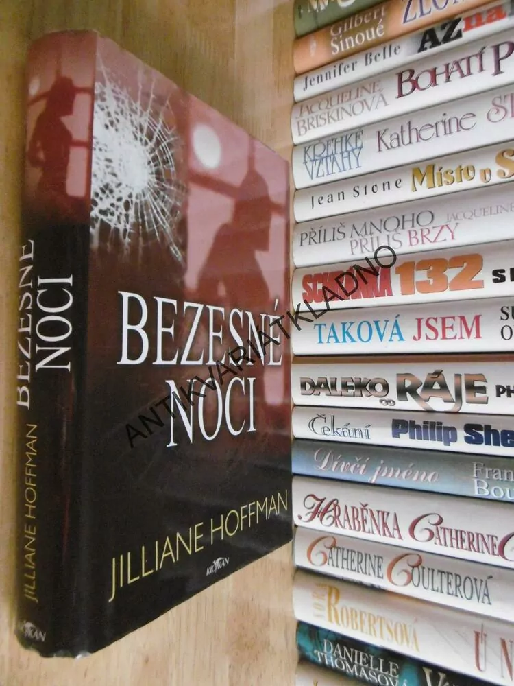BEZESNÉ NOCI, JILLIANE HOFFMAN, **an
