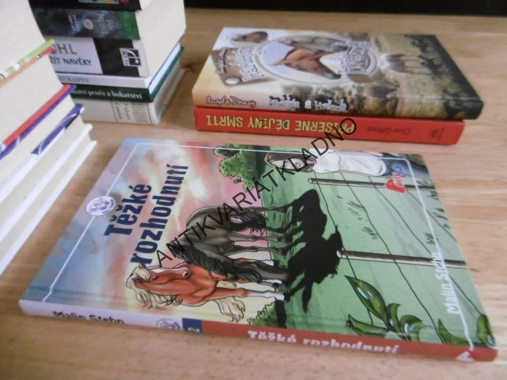 TĚŽKÉ ROZHODNUTÍ, MALIN STEHN, **an