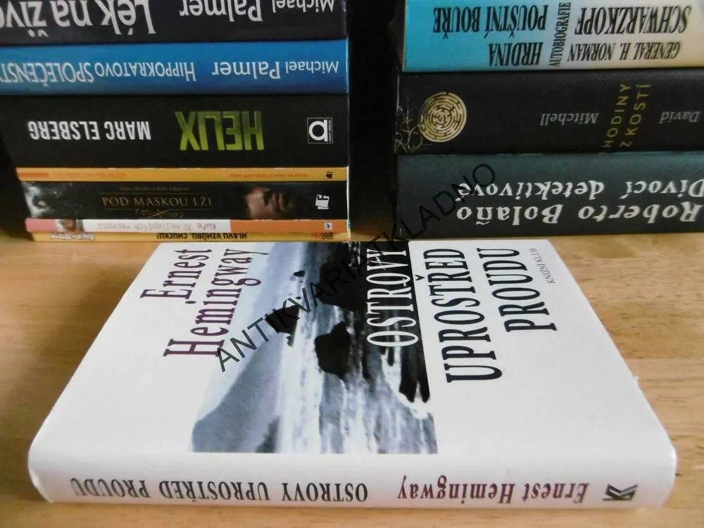 OSTROVY UPROSTŘED PROUDU, ERNEST HEMINGWAY, **an