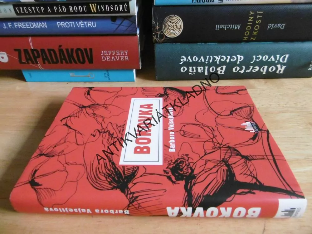 BOKOVKA, BARBORA VAJSEJTLOVÁ, **an