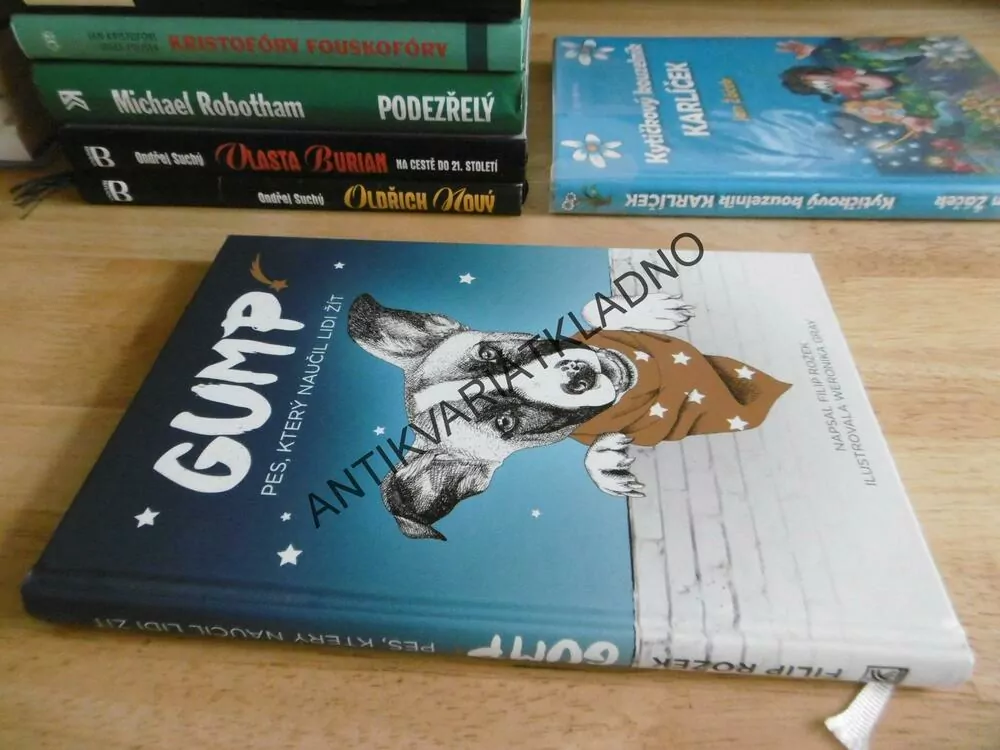 GUMP, PES, KTERÝ NAUČIL LIDI ŽÍT, FILIP ROŽEK, WERONIKA GRAY, **an