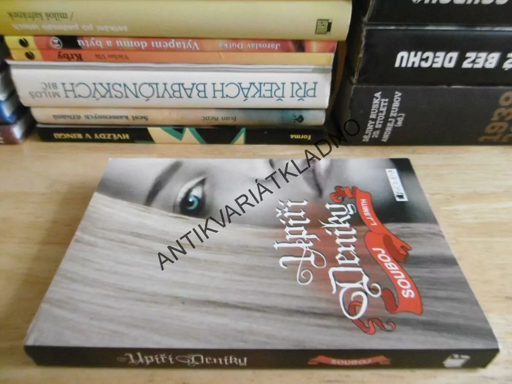 UPÍŘÍ DENÍKY, SOUBOJ, L. J. SMITH, **an