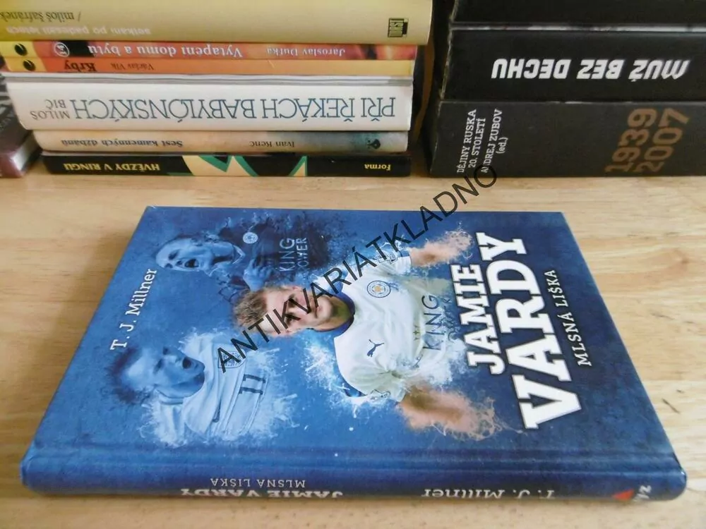 JAMIE VARDY, MLSNÁ LIŠKA, T. J. MILLNER, **an