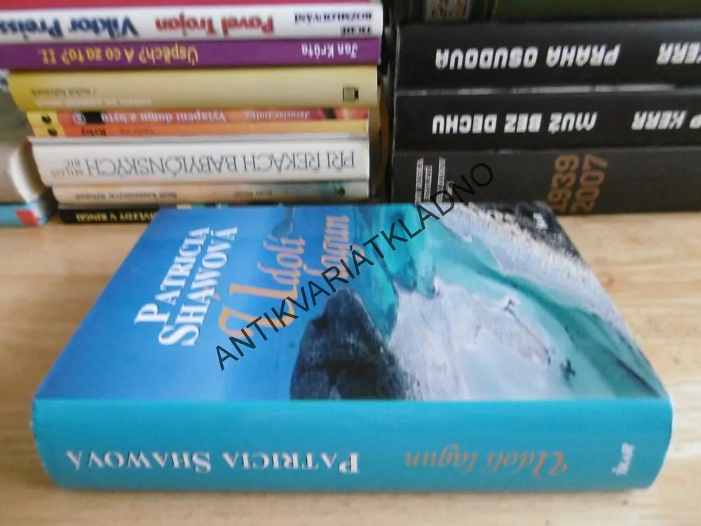 ÚDOLÍ LAGUN, PATRICIA SHAWOVÁ, **an